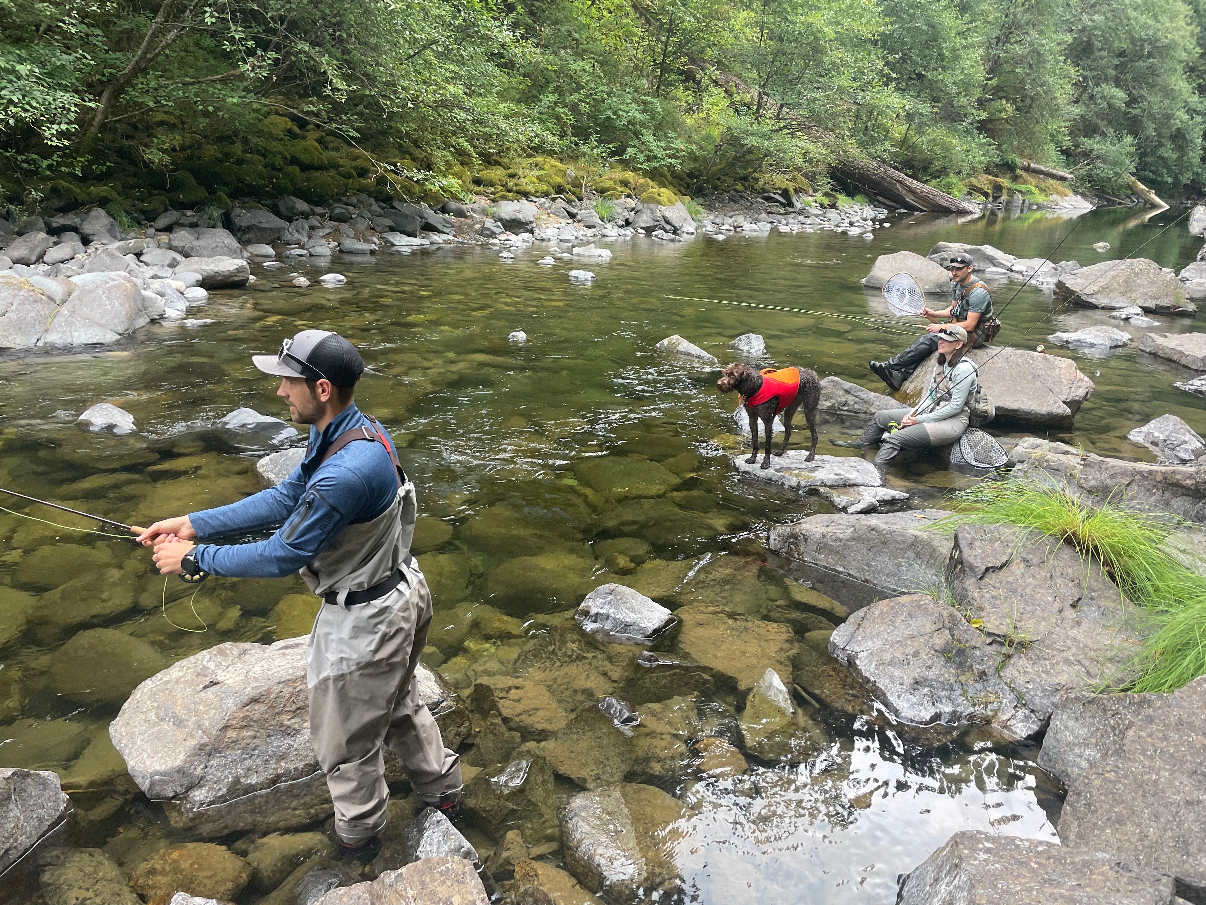 Dog standing on a rock in a river, watching two people fish