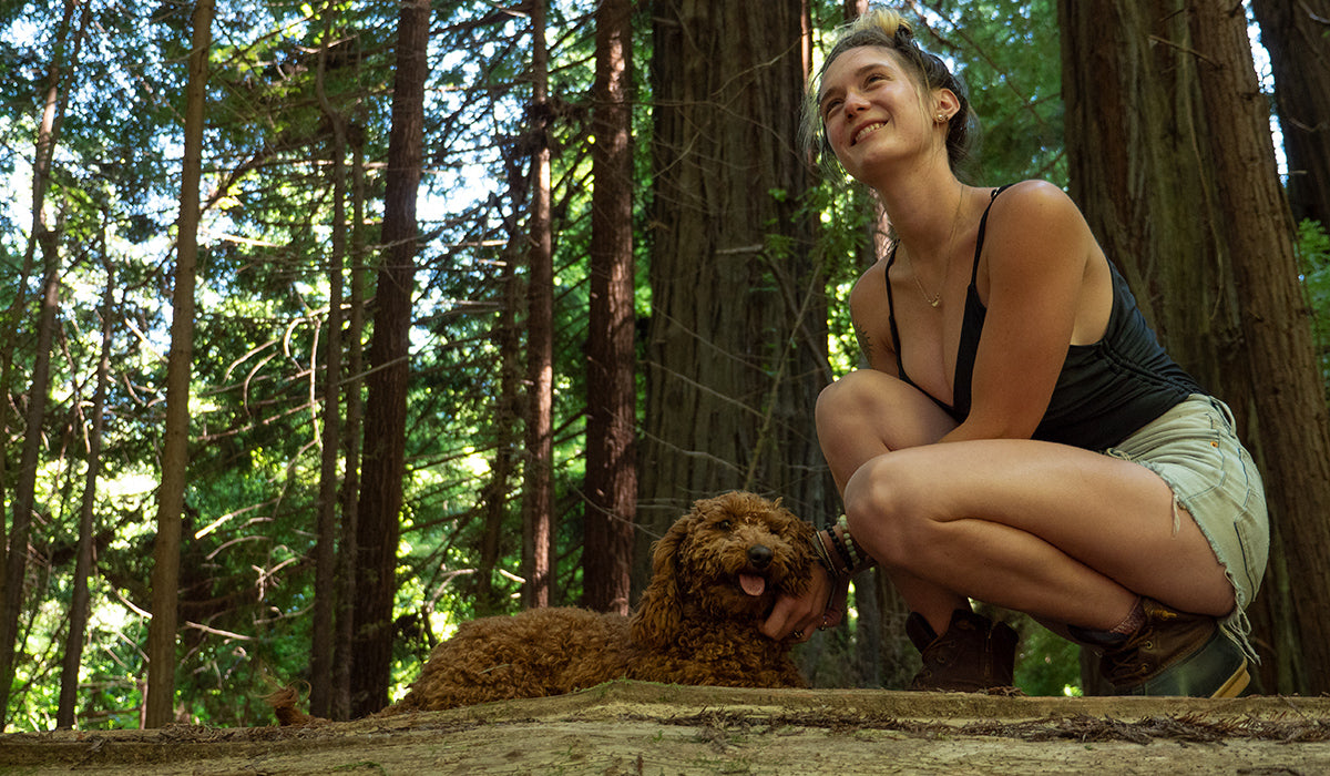 Human hanging out with dog in a forest setting