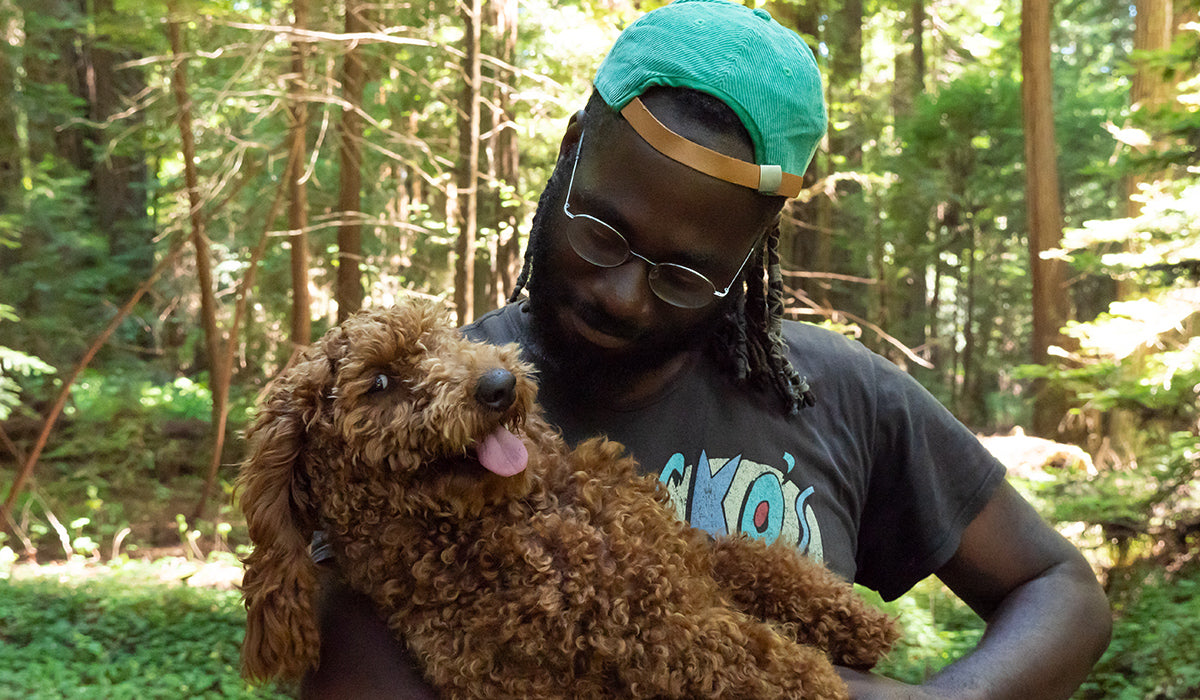 Human holding dog in a forest setting