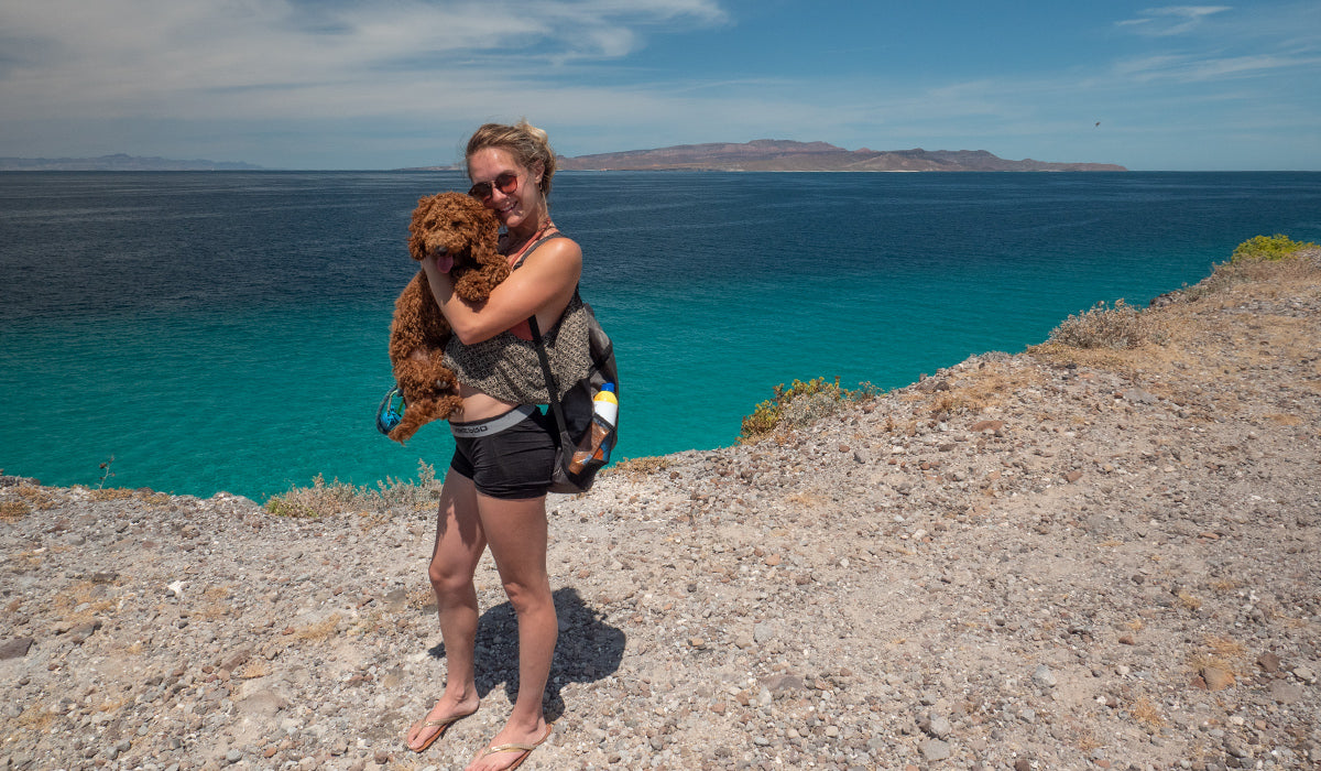 Human holding dog at a scenic overlook