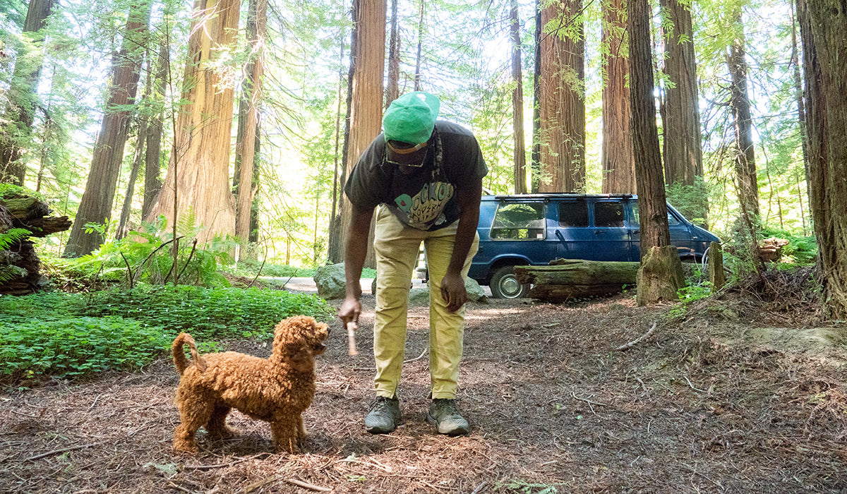 Dog and human hanging out in forest with van in the background