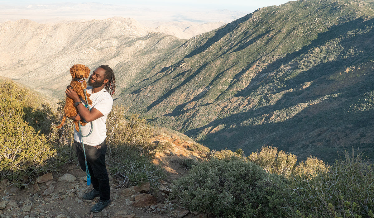 Human holding dog at a scenic point with hills in the background