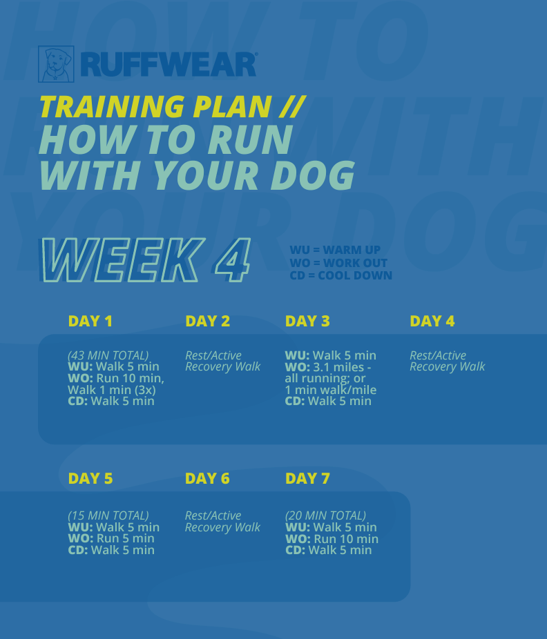 Week 4 of the 5k Training Plan