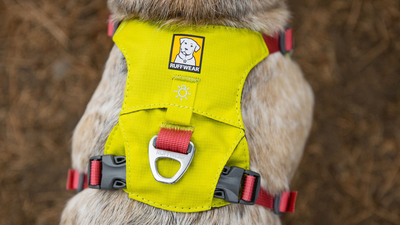 Hi & Lightweight Dog Harness