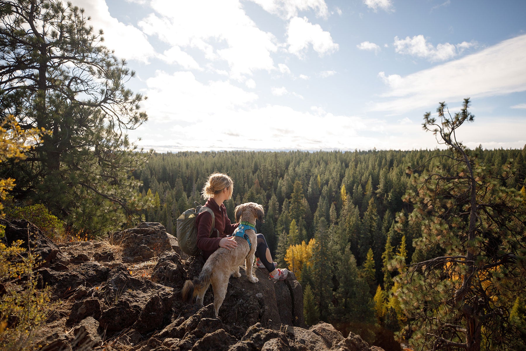 Dog Marv in hi & light harness sits with human mary looking over the trails of Bend on a hike.