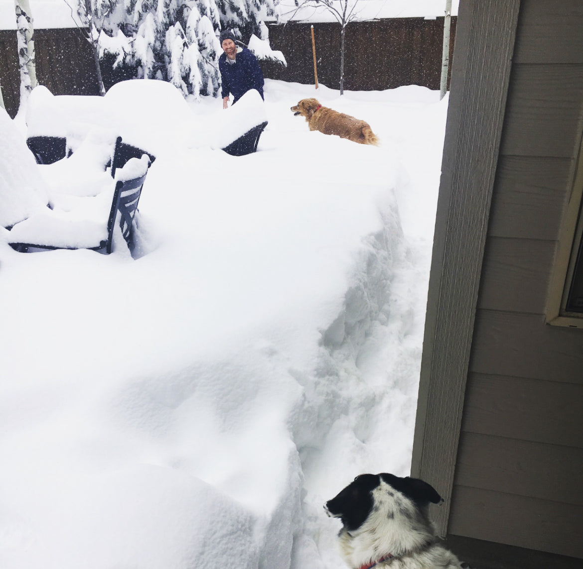 A man runs around a snow-covered backyard with his golden retriever while his other dog looks out from the back porch. 