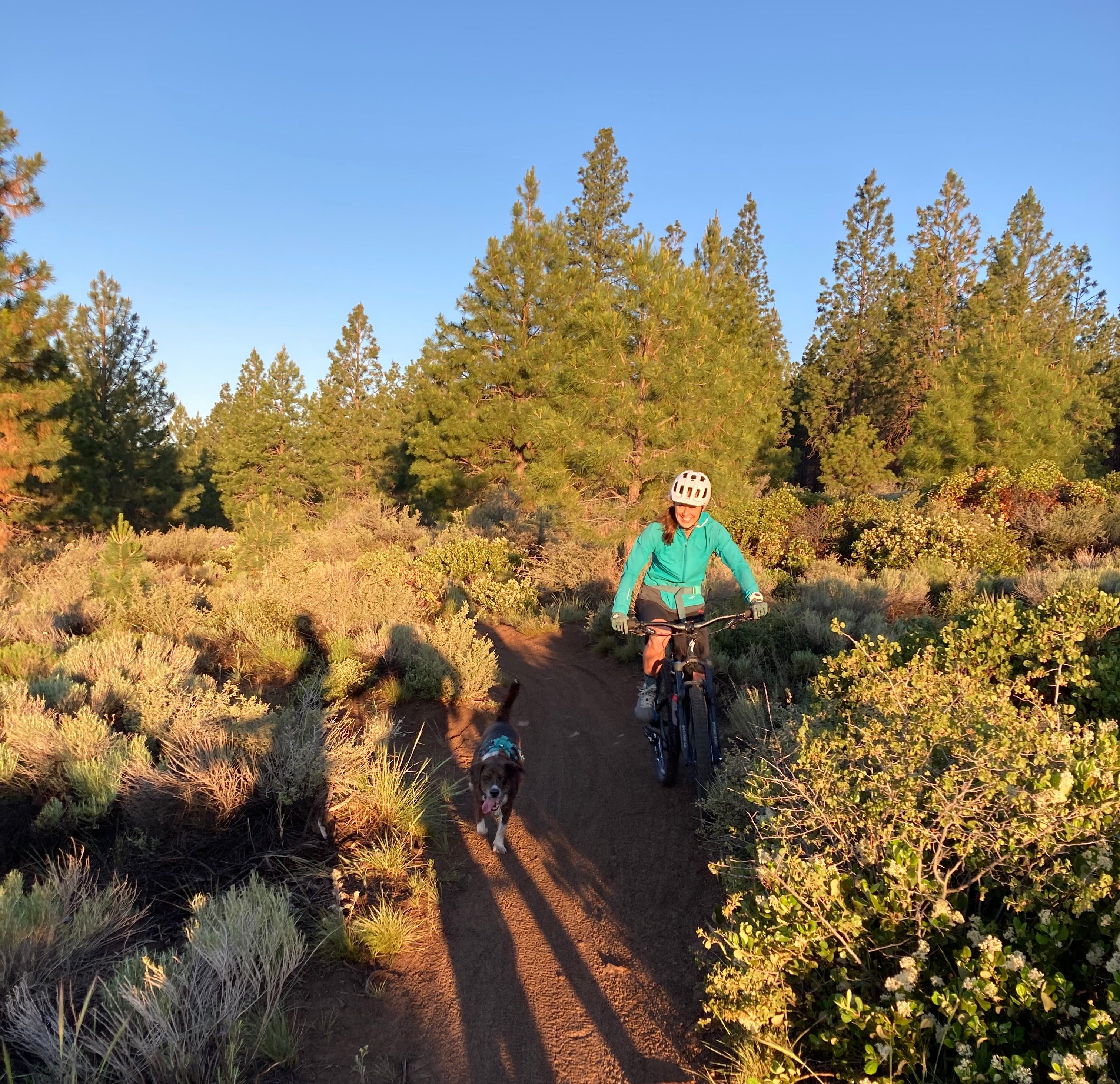 A woman mountain bikes with her dog running beside her. 