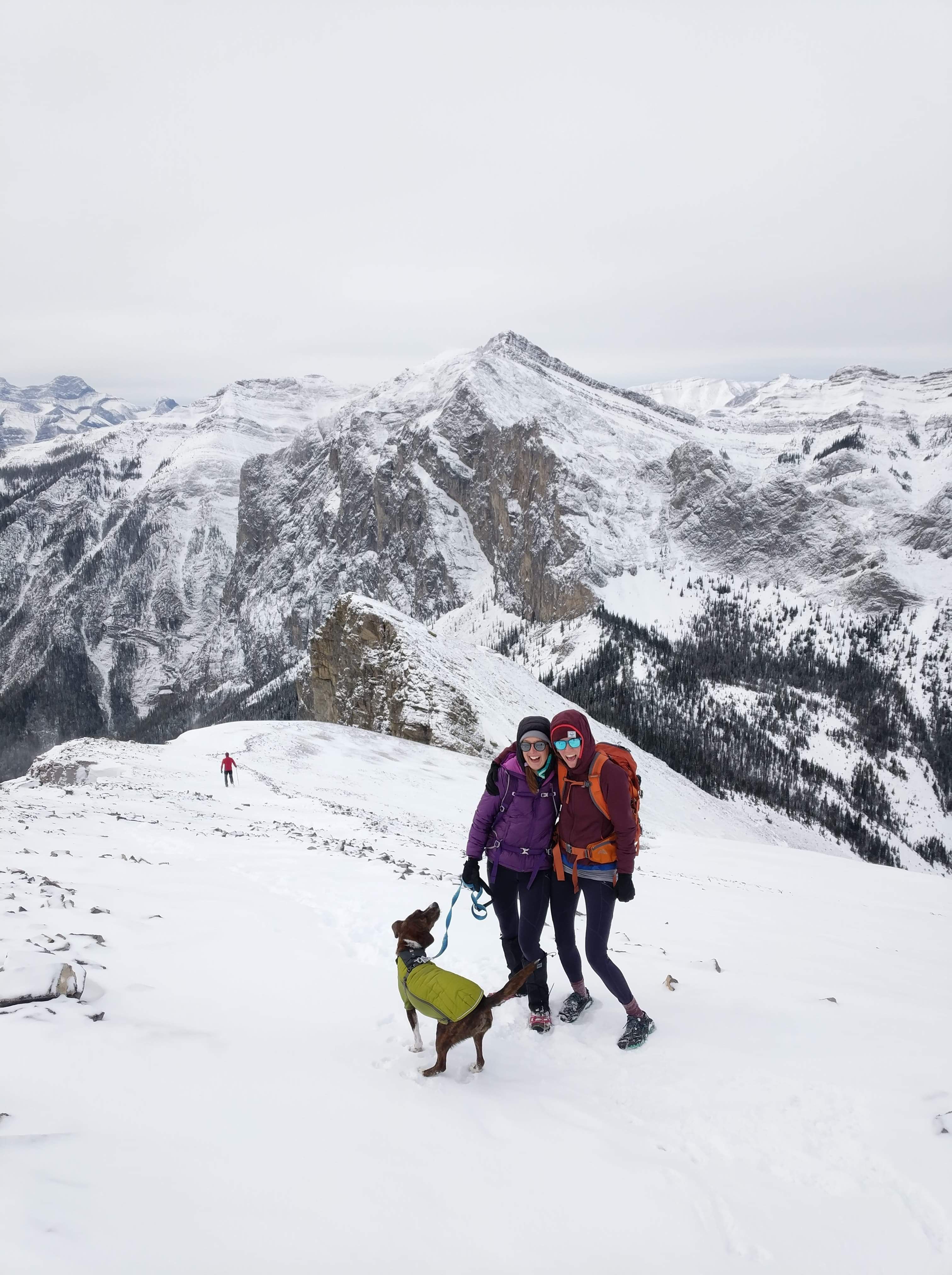 Bronwyn and friend with dog arnie in powder hound and hi & light harness in the mountains.