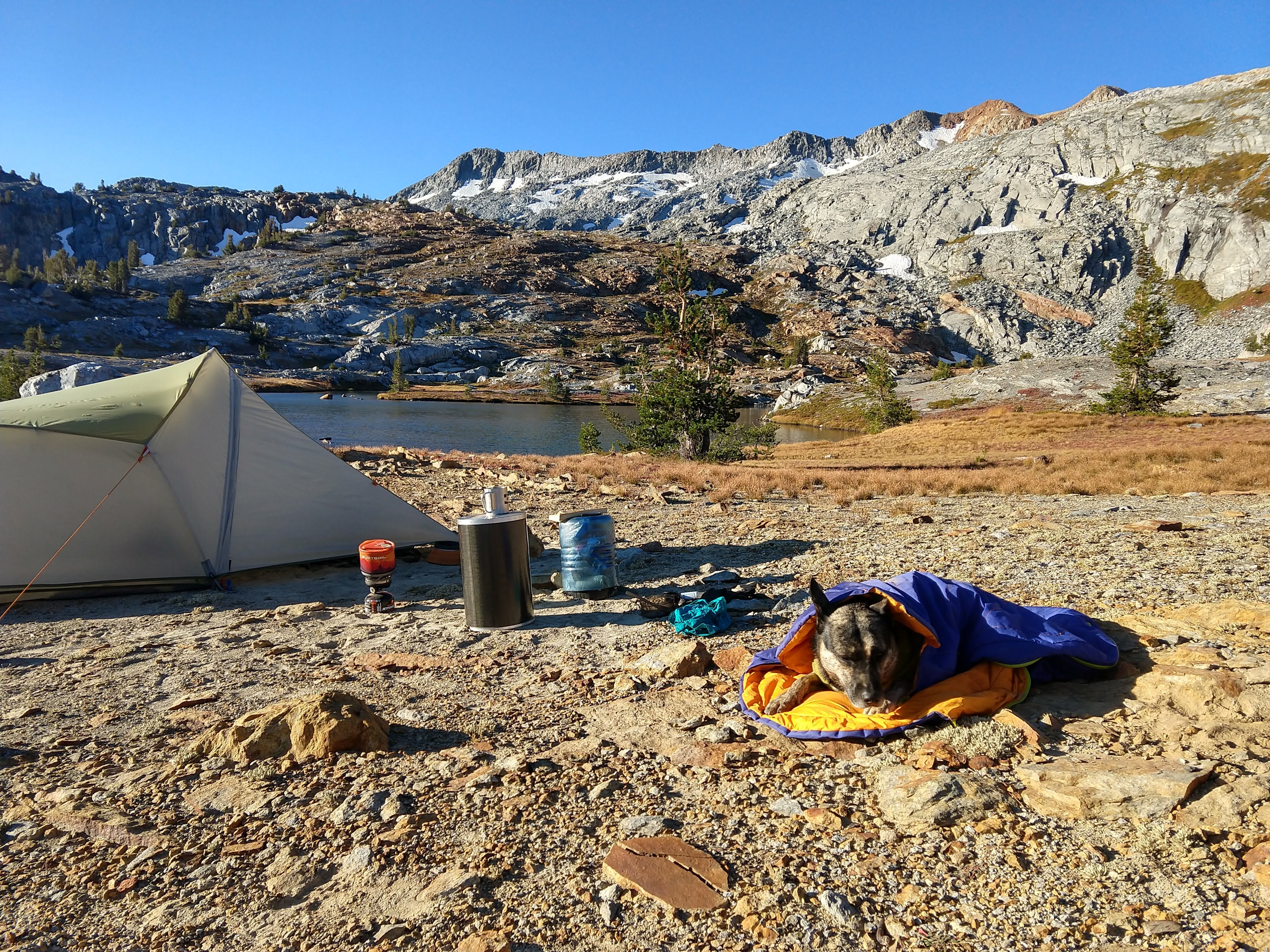 Detection Dog Highlands Bag Yosemite