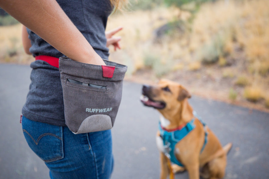 dog treat waist pouch