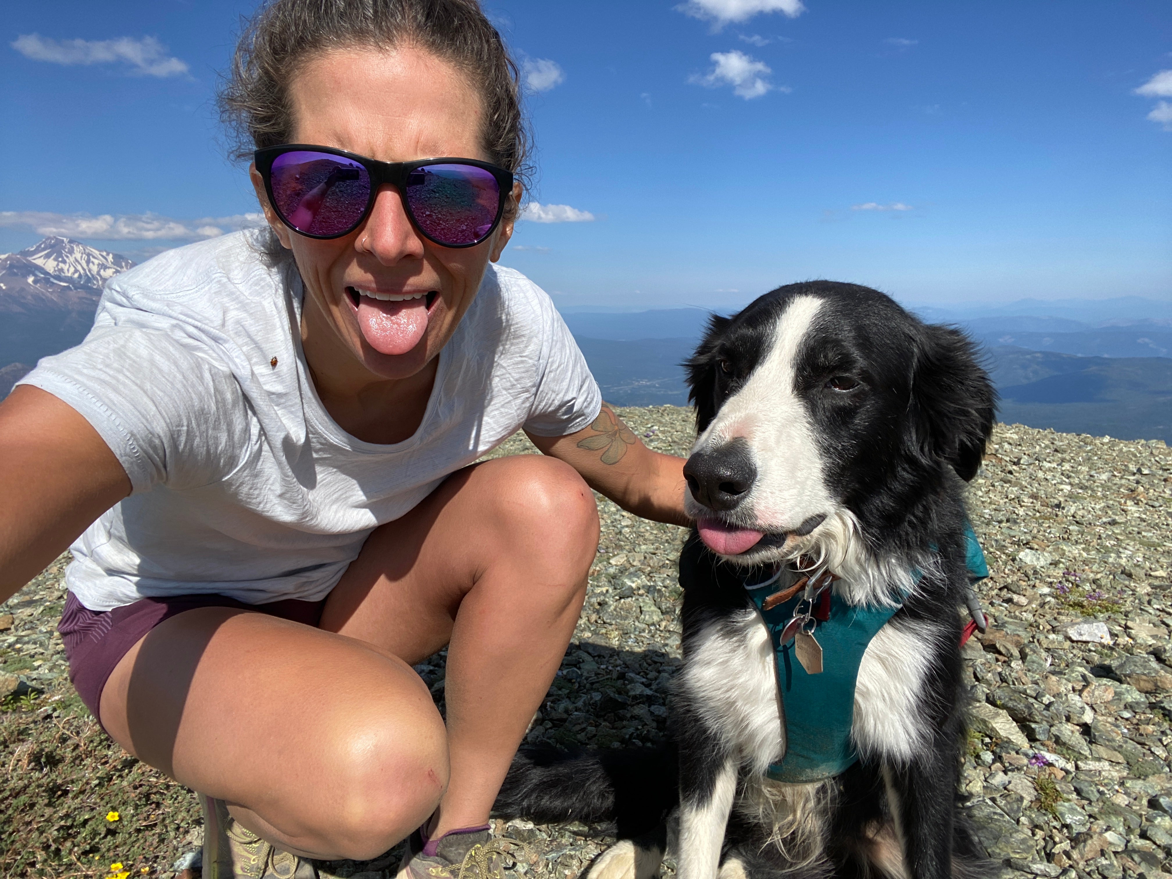 Border collie dog and woman take a selfie with both their tongues out