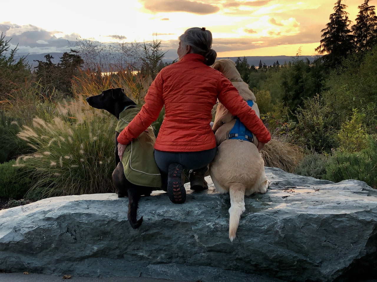 A woman sits with her two dogs and watches the sunset. 