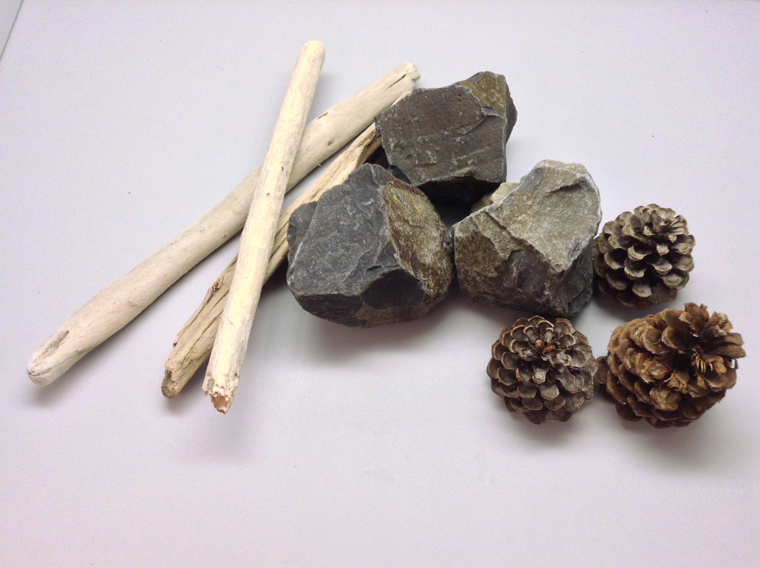 A photo of sticks, stones, and pinecones. 