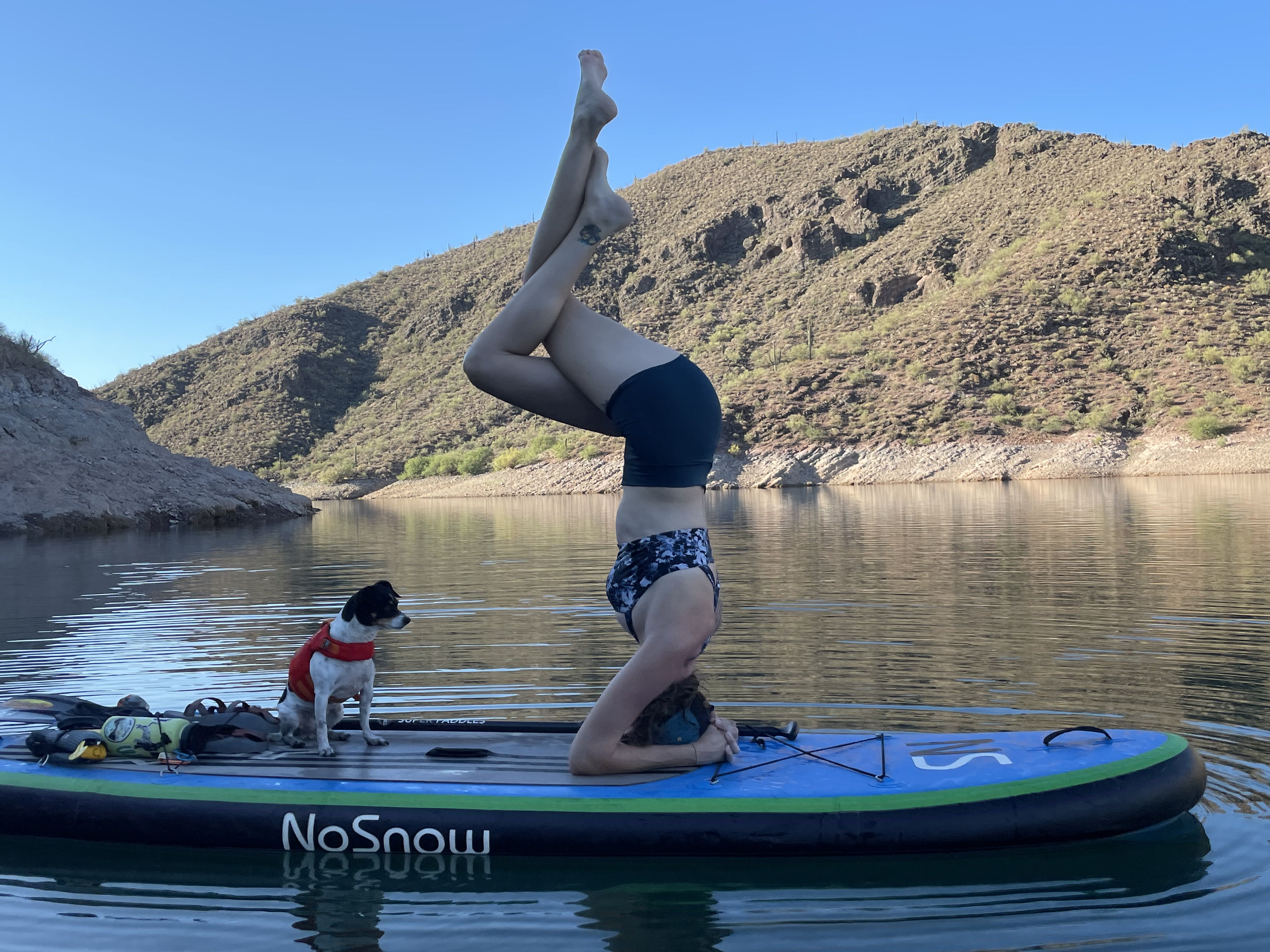 A woman does a headstand on a paddleboard with her dog sitting next to her. 