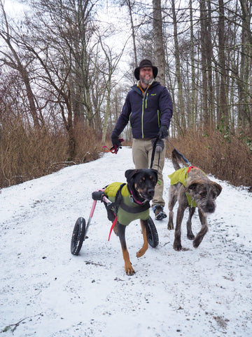 Noodle and Shamus in matching cedar green ruffwear jackets on a hike.