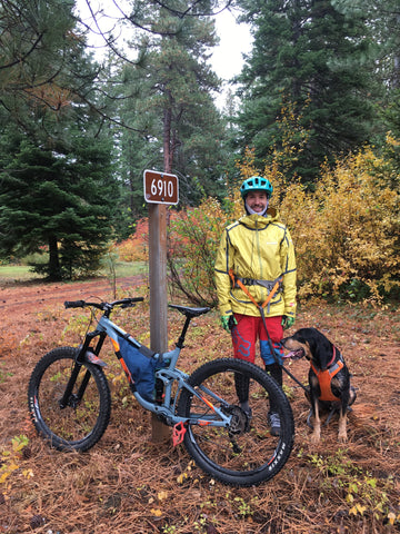 Man next to bike with dog on omnijore system.