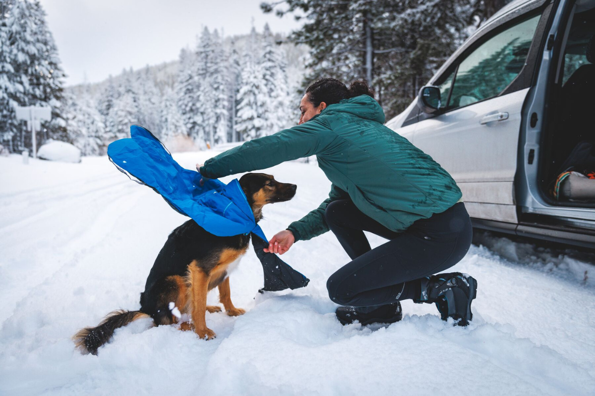 Man putting a jacket on his dog.