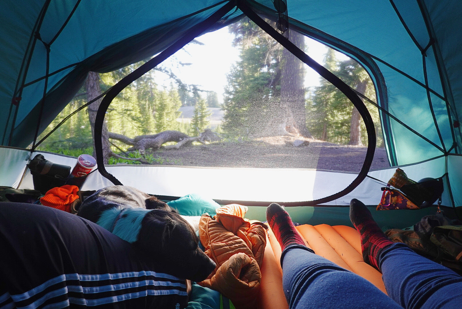 Two humans snuggled up with dog inside tent while camping.