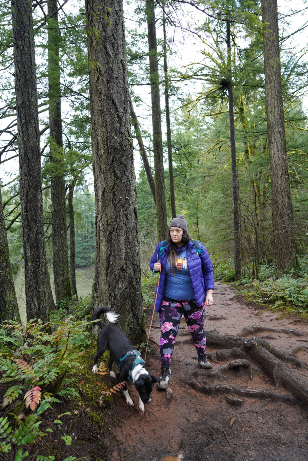 Jenny Bruso on hike in Oregon with dog in front range everyday harness.