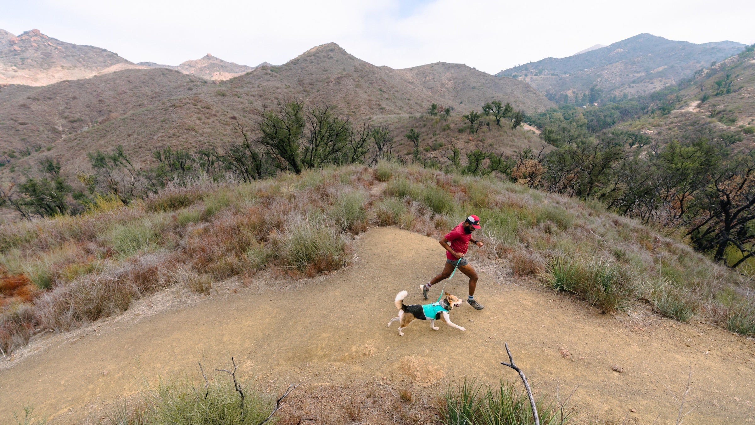 Marcus and Batman trail run in the LA foothills.