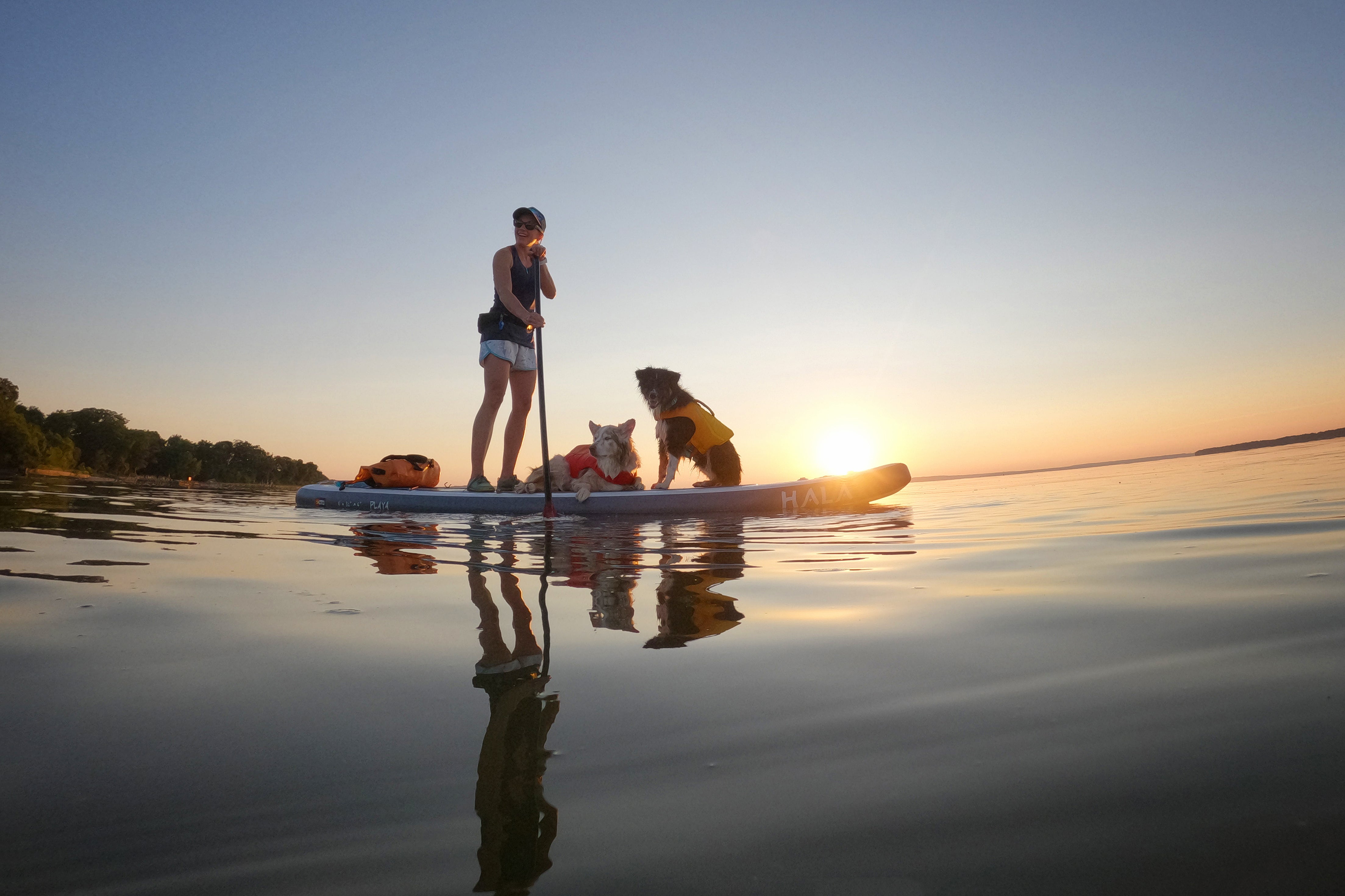 A woman paddleboards on a lake with her two dogs. 