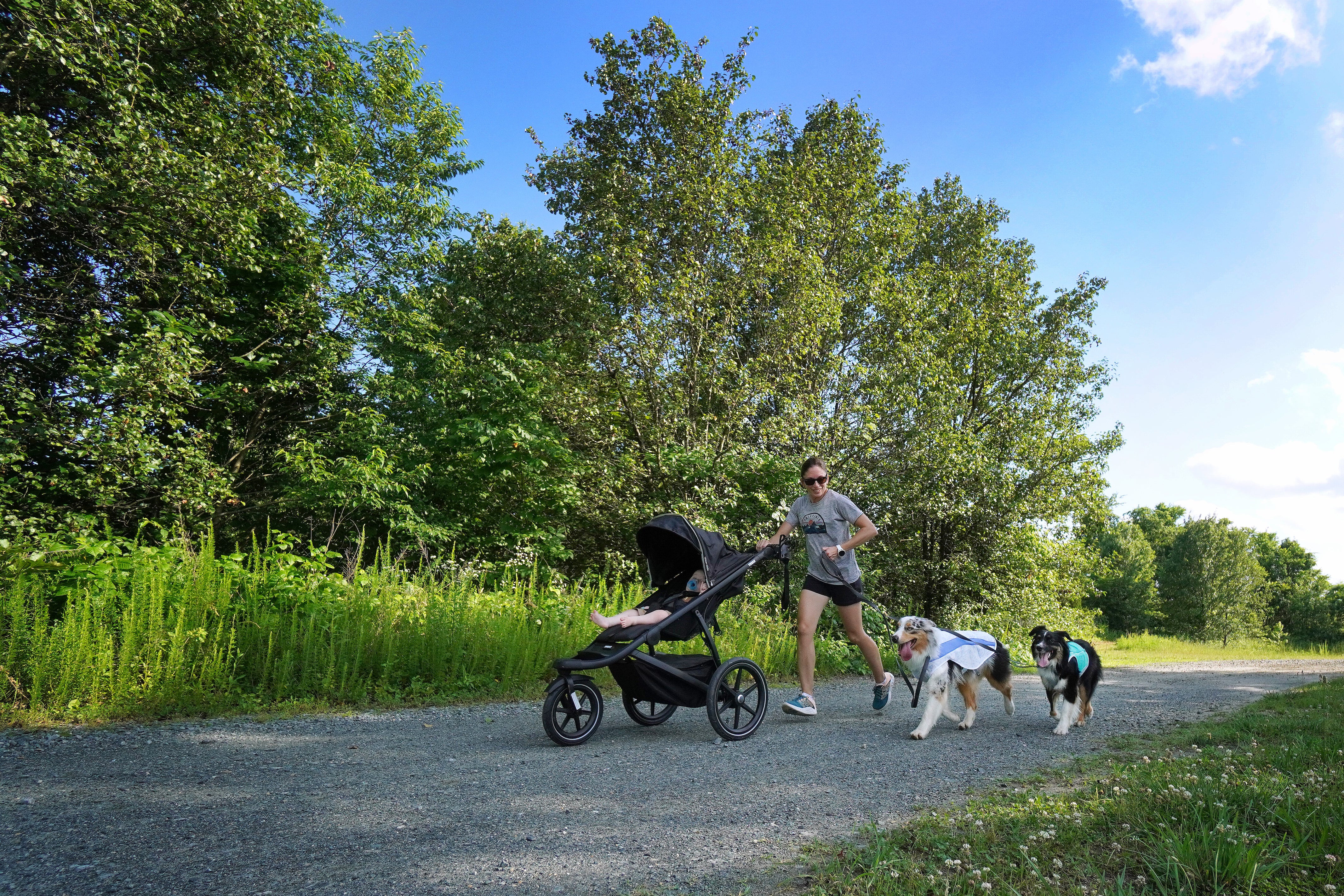 A woman runs with her dogs while pushing her baby in a stroller. 