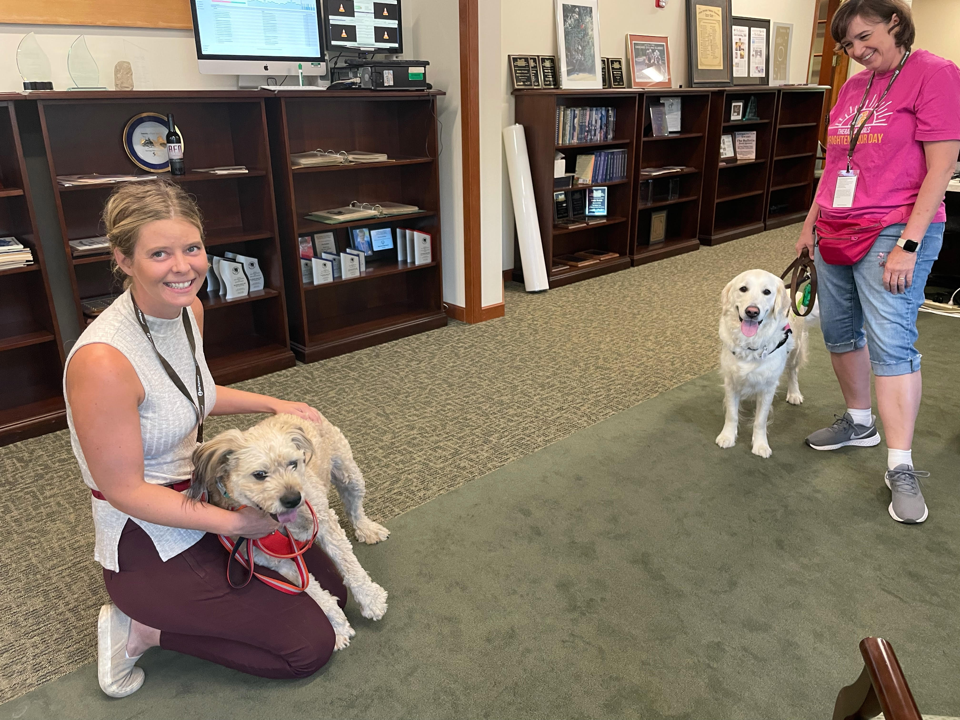 A woman and her dog volunteer at a newspaper office as a therapy dog team. 