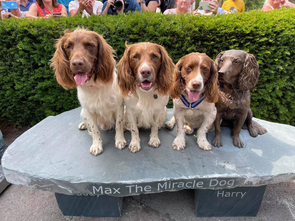 Three spaniels sit next to a bronze statue of Max the Miracle Dog