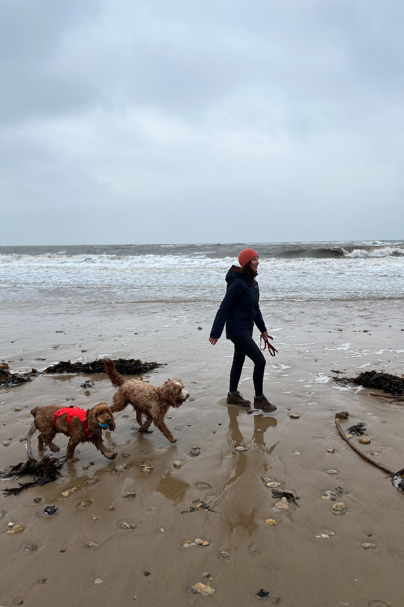 Woman walking on the beach with two dogs.