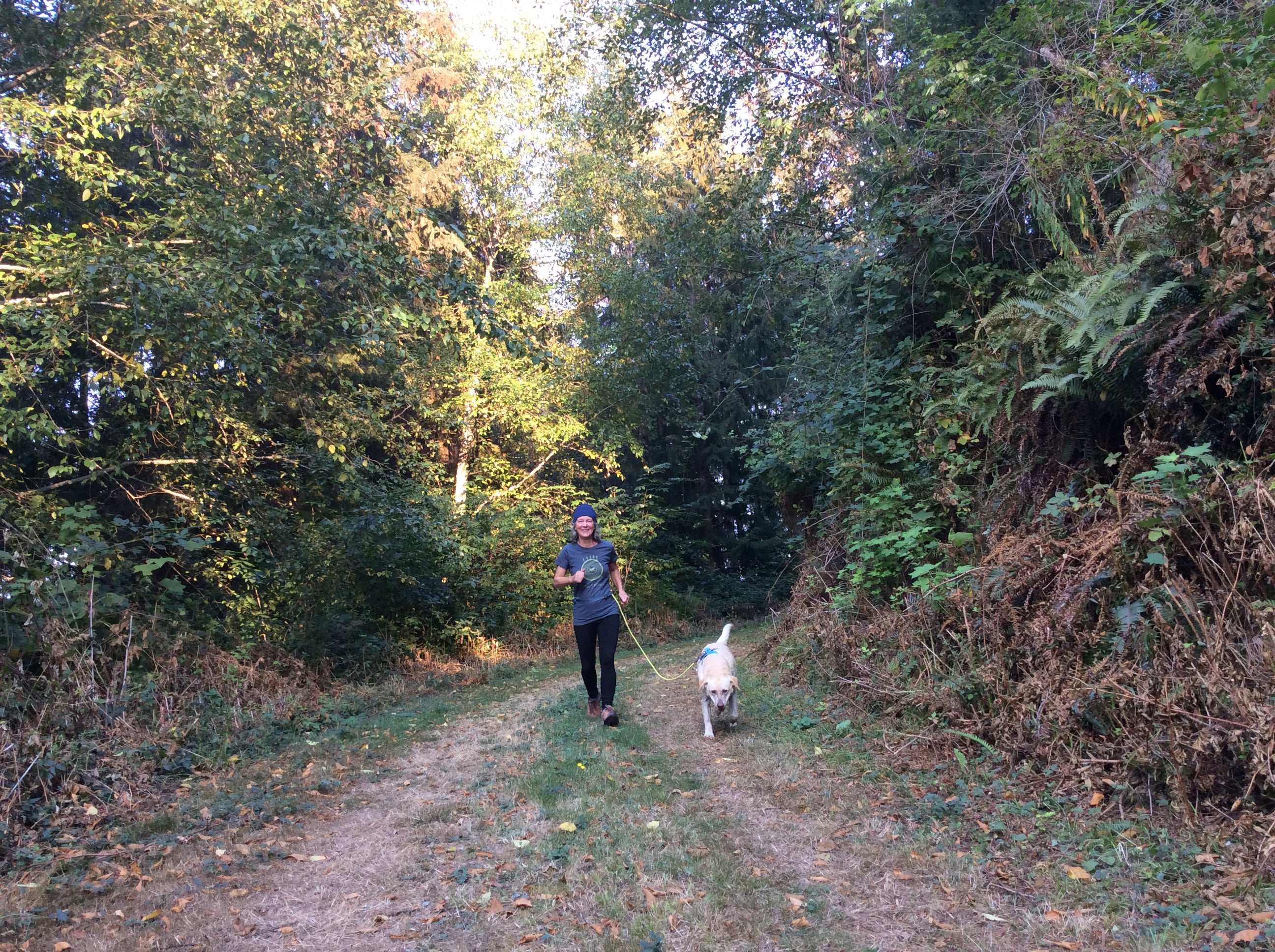 A woman and her dog go on a morning run through the woods. 