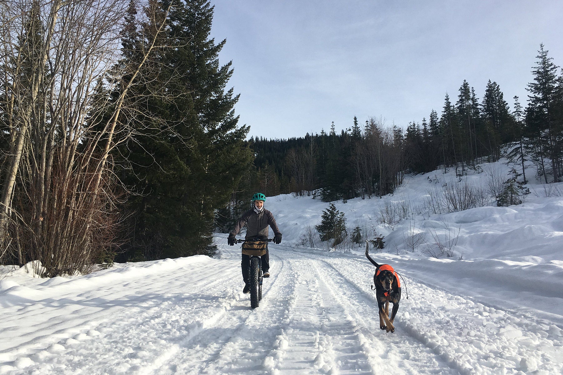 Human biking and dog running in a snowy, winter scene