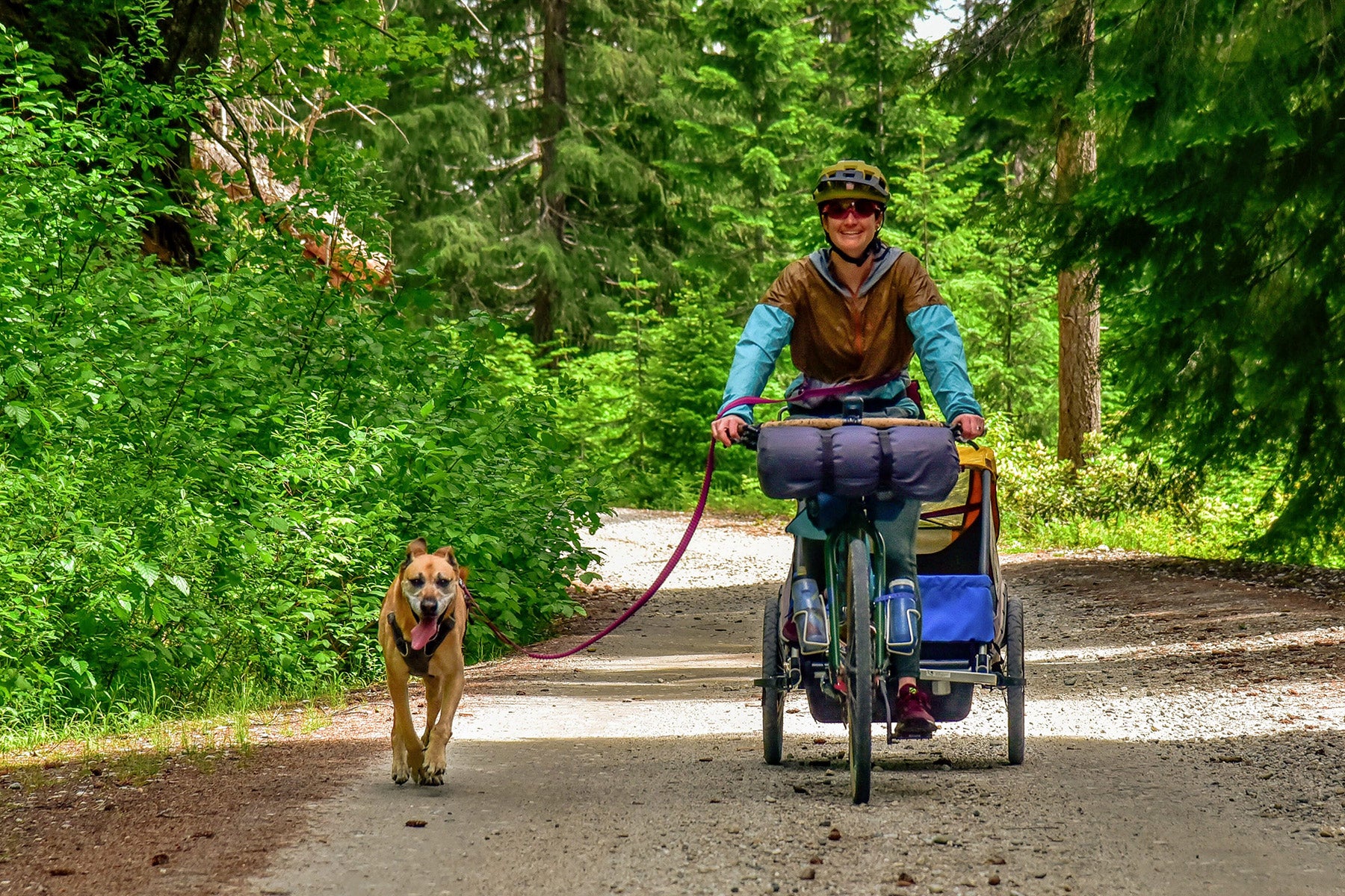 Laura and Star mountain biking on a wide forest road