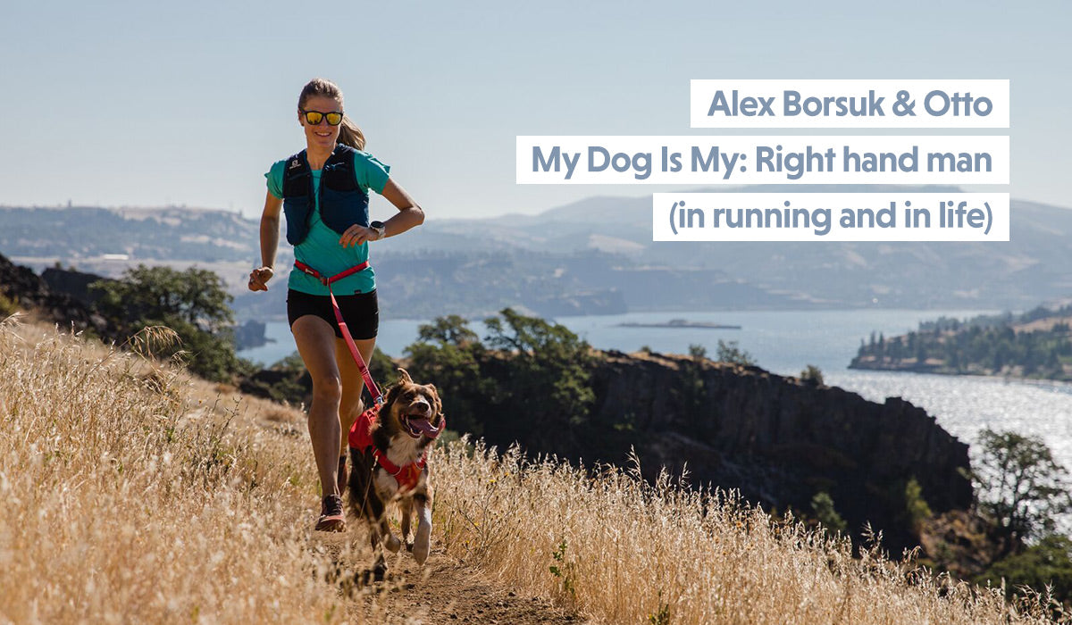 Alex runs with Otto in switchbak harness and leash