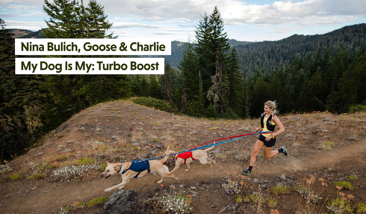 Nina trail runs with two Charlie and Goose on roamer leashes