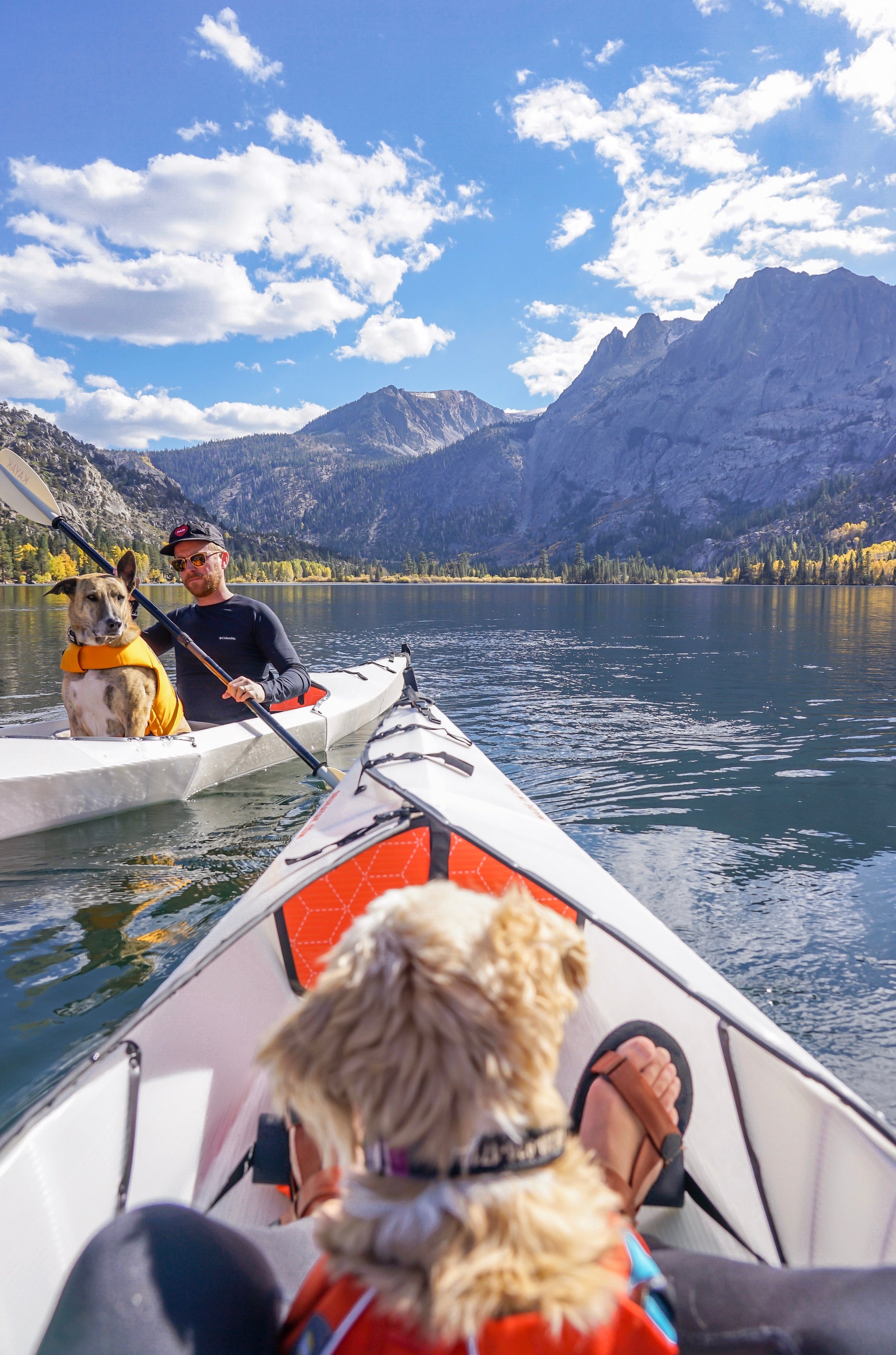 Dog sitting with human in kayak on a lake with another dog and human kayaking