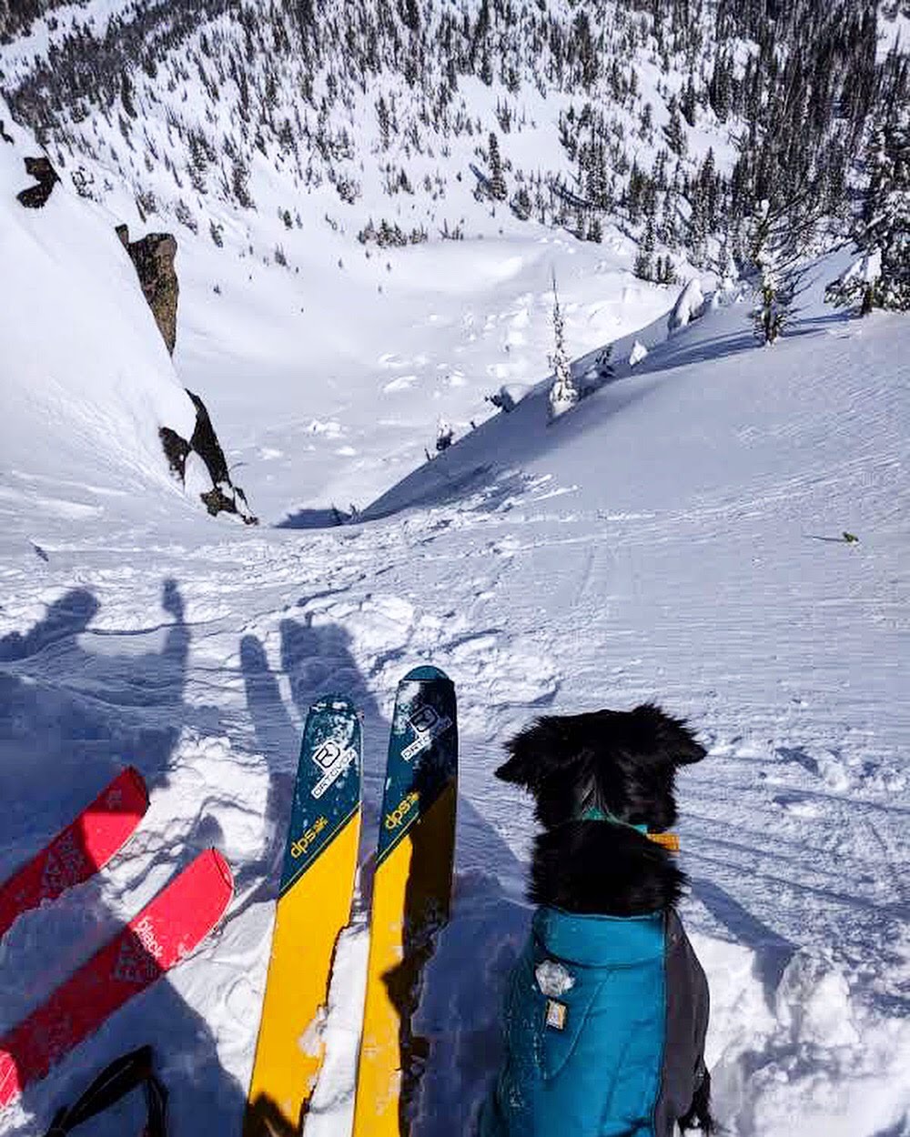 Alli and Riggins about to ski at the top of a steep chute.