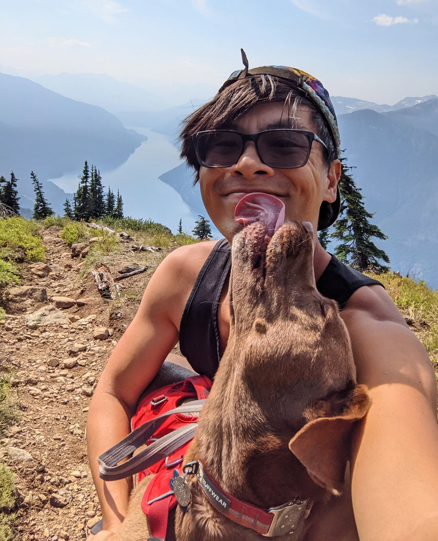 A dog licks his owner's face while they are on a hiking trail. 