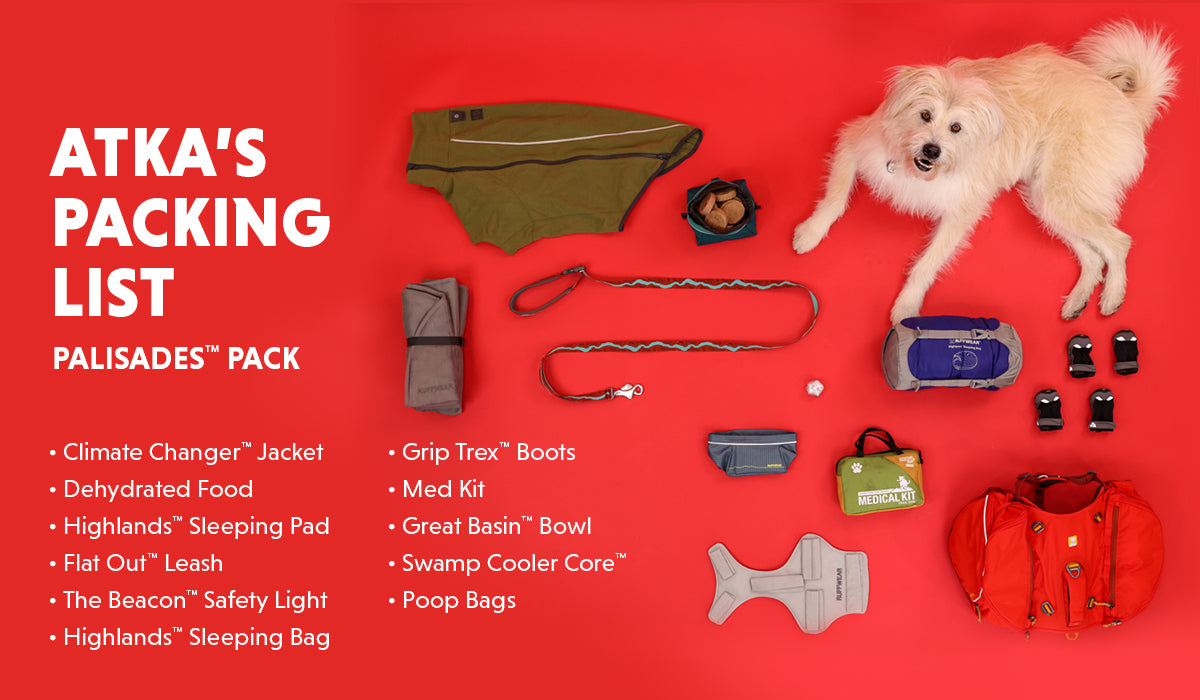 Dog with pack and its gear contents laid out