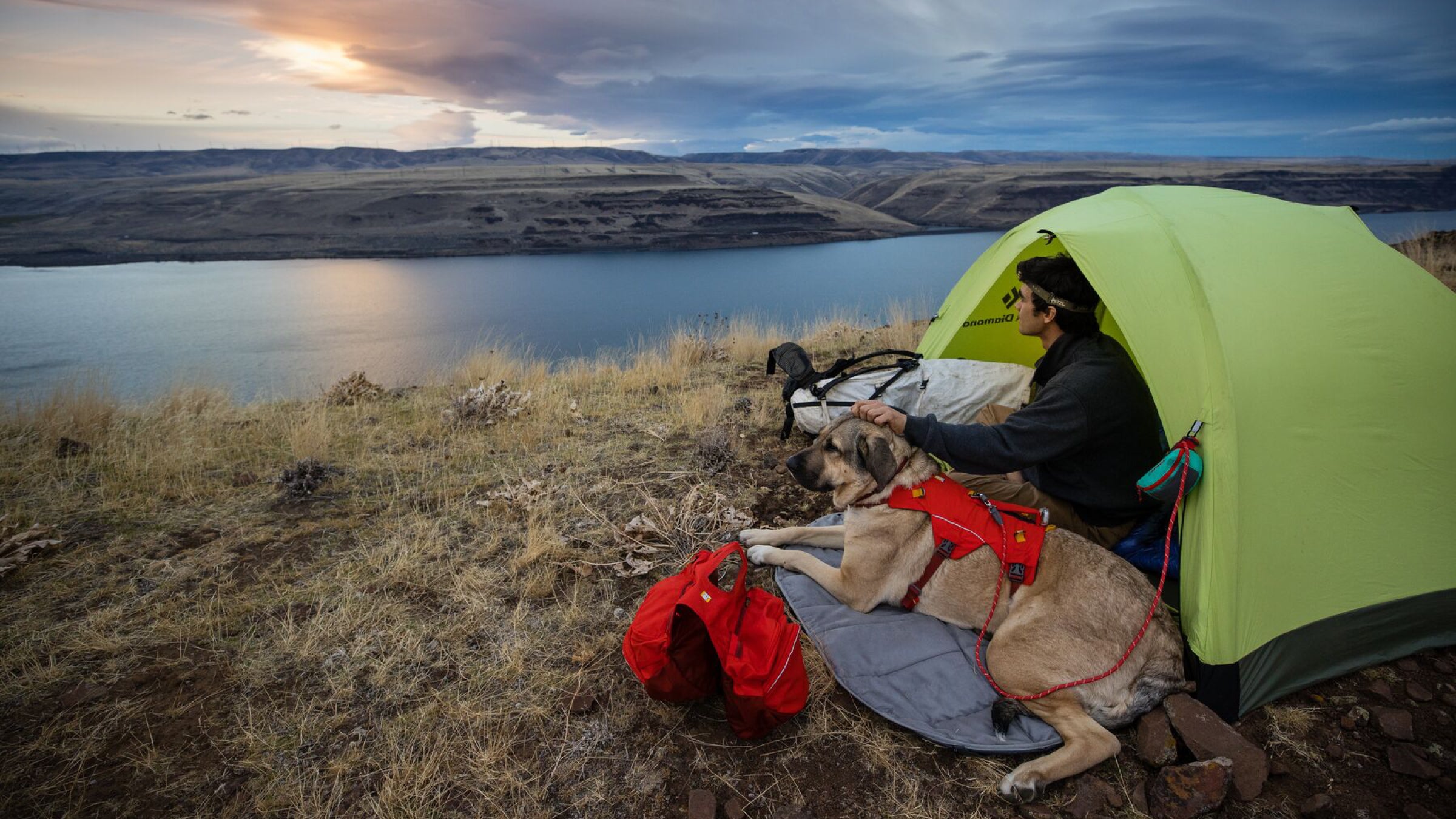 Man and dog sitting in tent overlooking lake