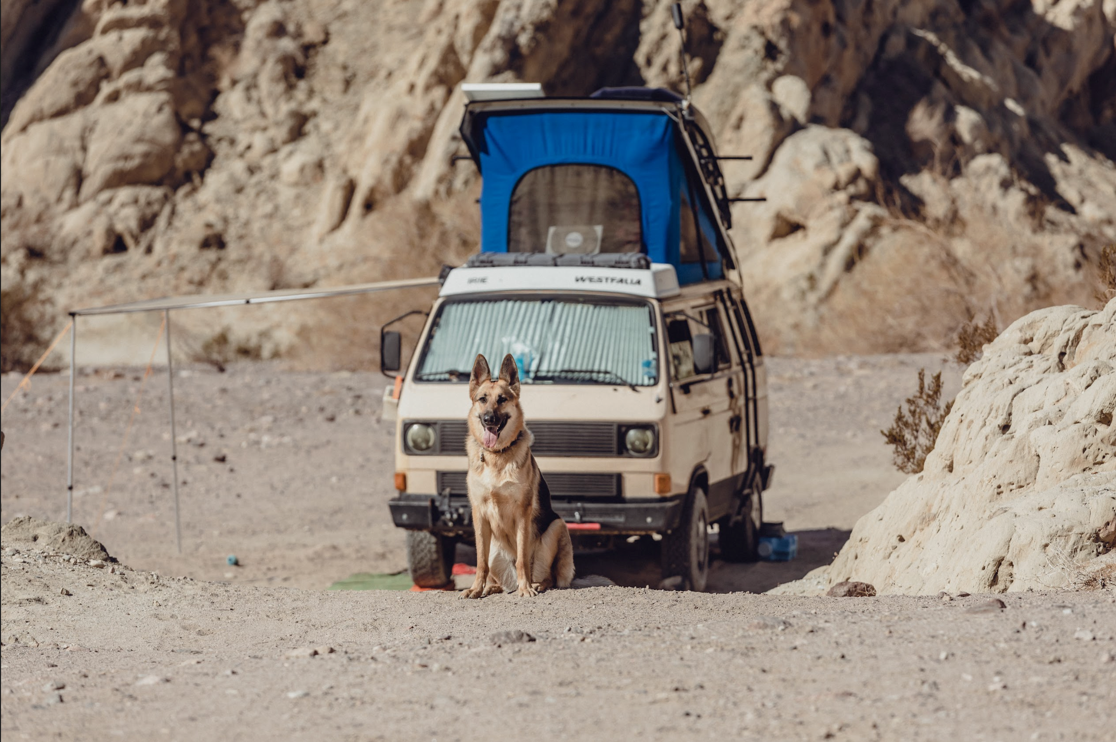 Amara, a German Shepherd Dog, sitting in front of a camper van in the desert