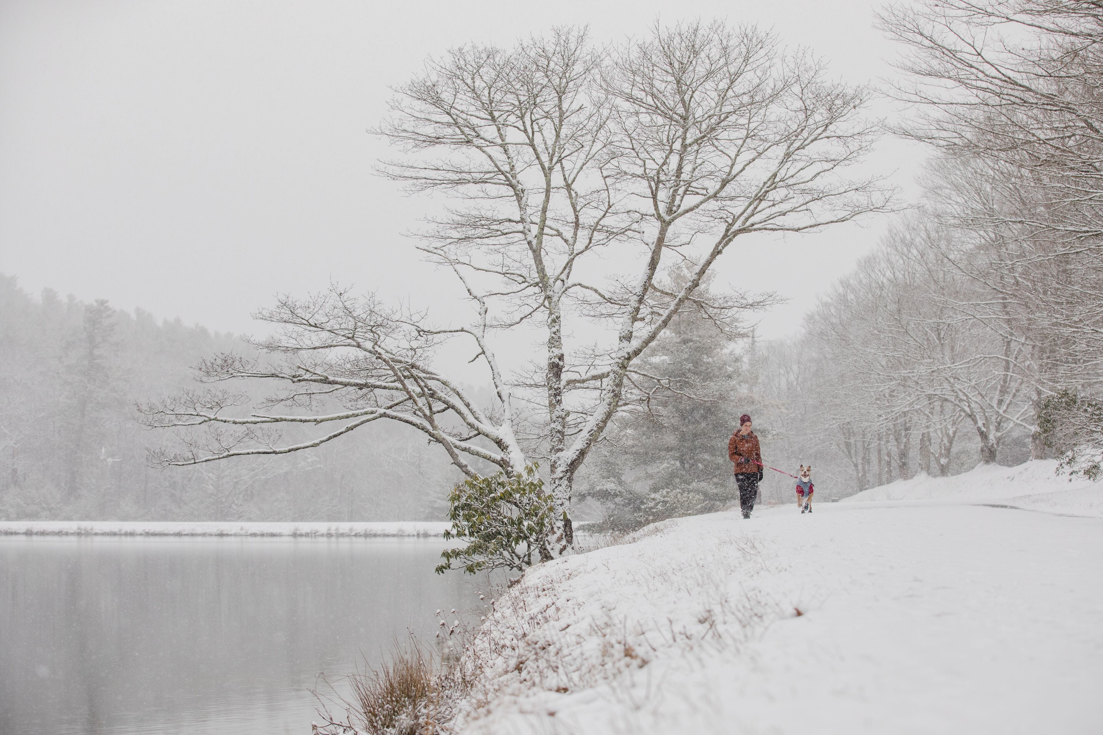 Woman and dog with layered jackets walk along snowy trail by river.