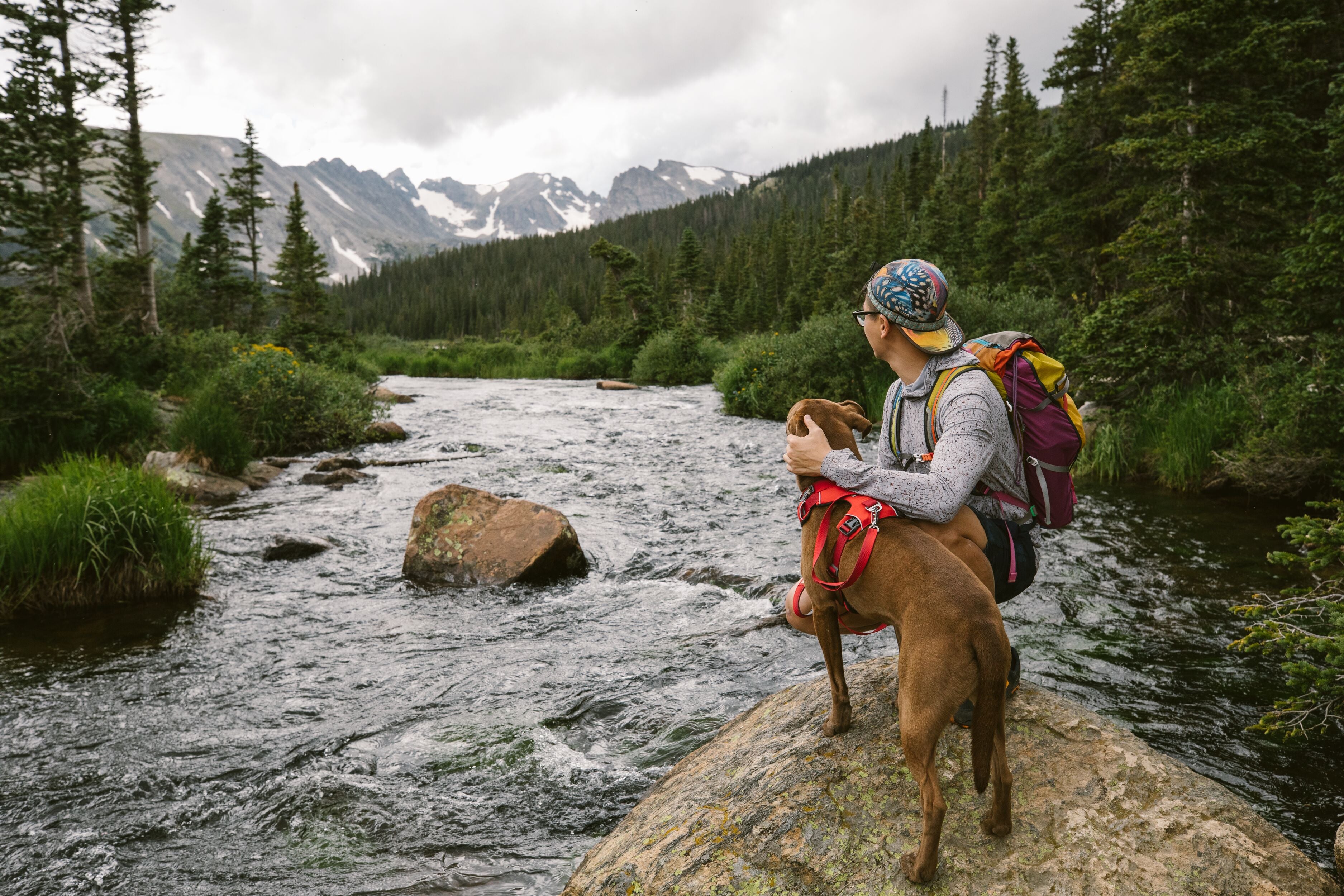 A man and his dog sit on a rock and look out at a river. 