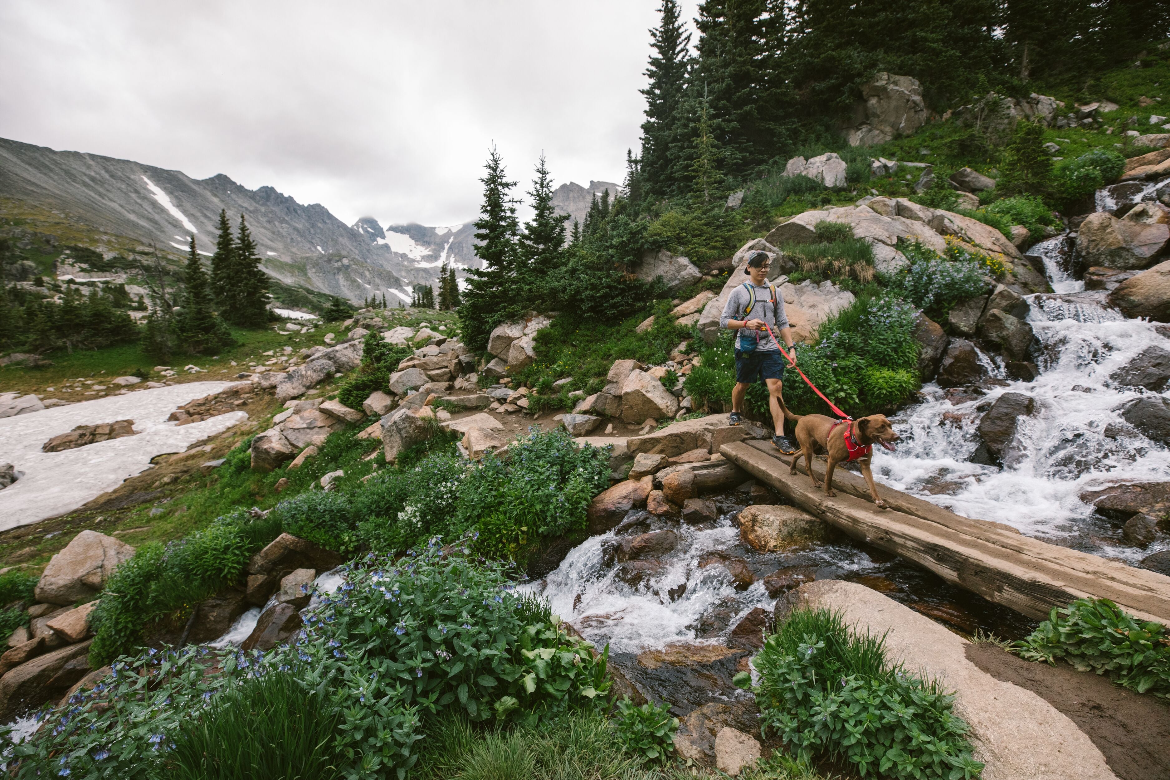 A man hikes with his dog in the mountains and crosses a stream. 