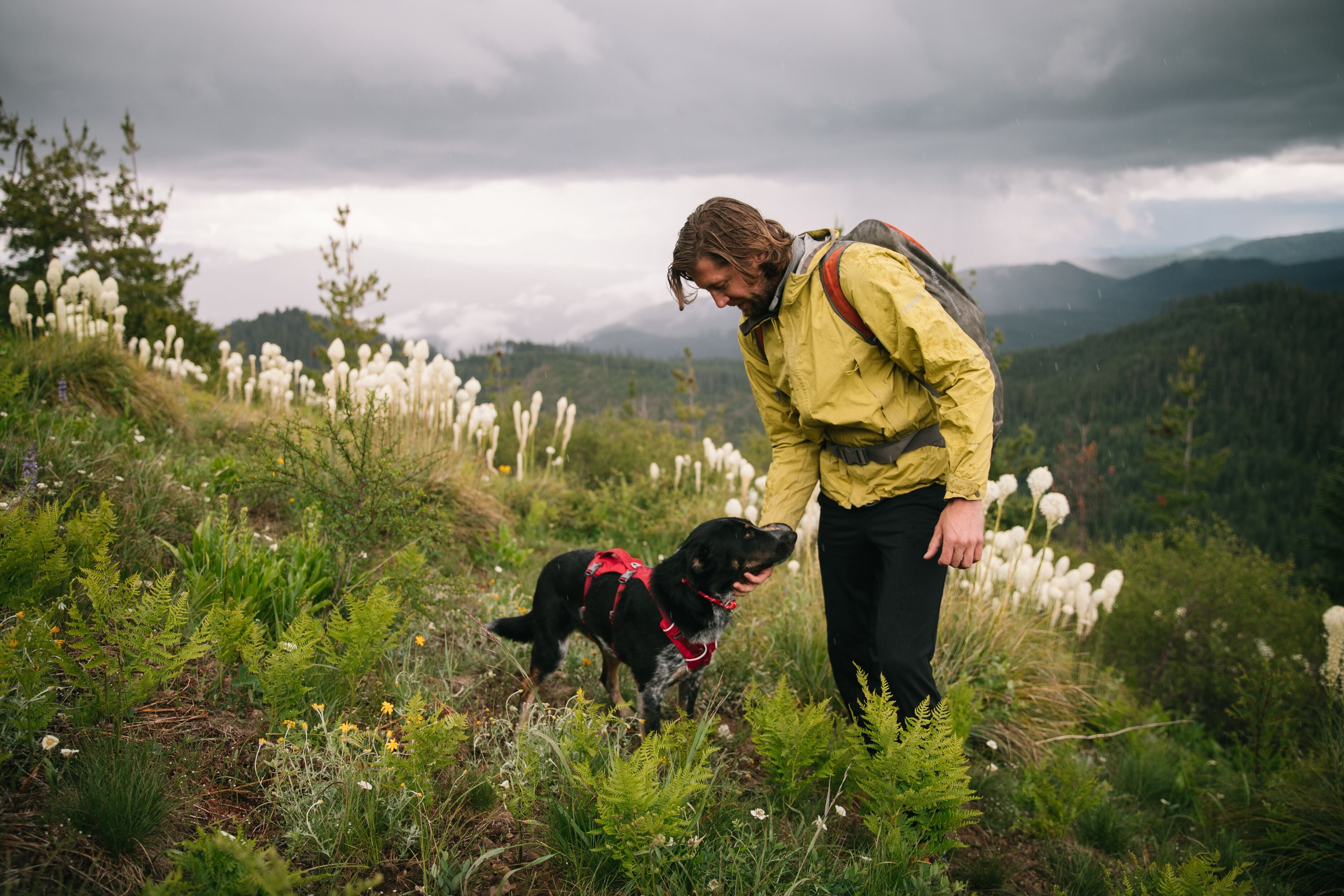 A man hikes through a meadow with his dog who is wearing a Ruffwear Flagline Harness. 