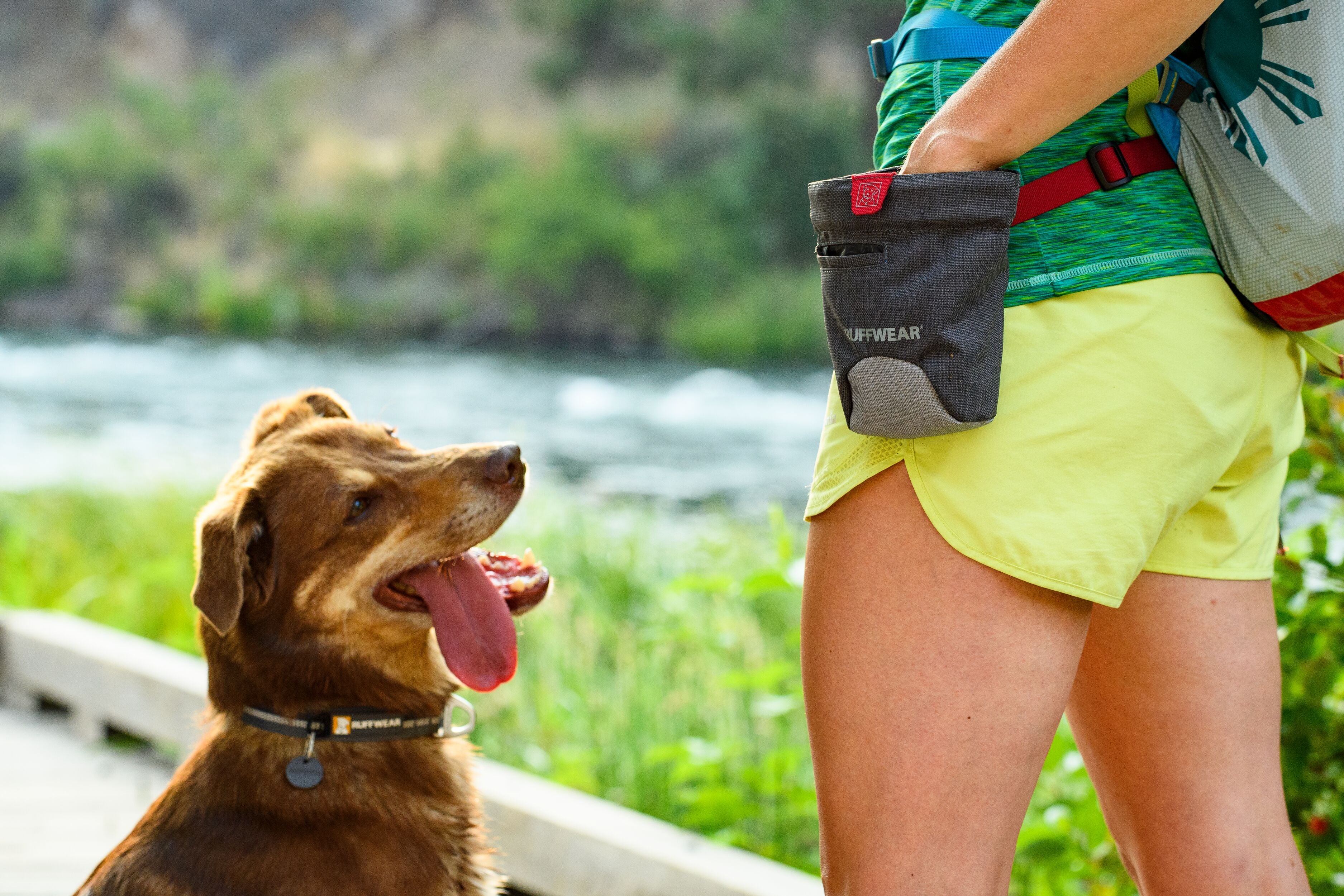 A dog sits with his tongue out while his human pulls out a treat from the Ruffwear Treat Trader Bag. 