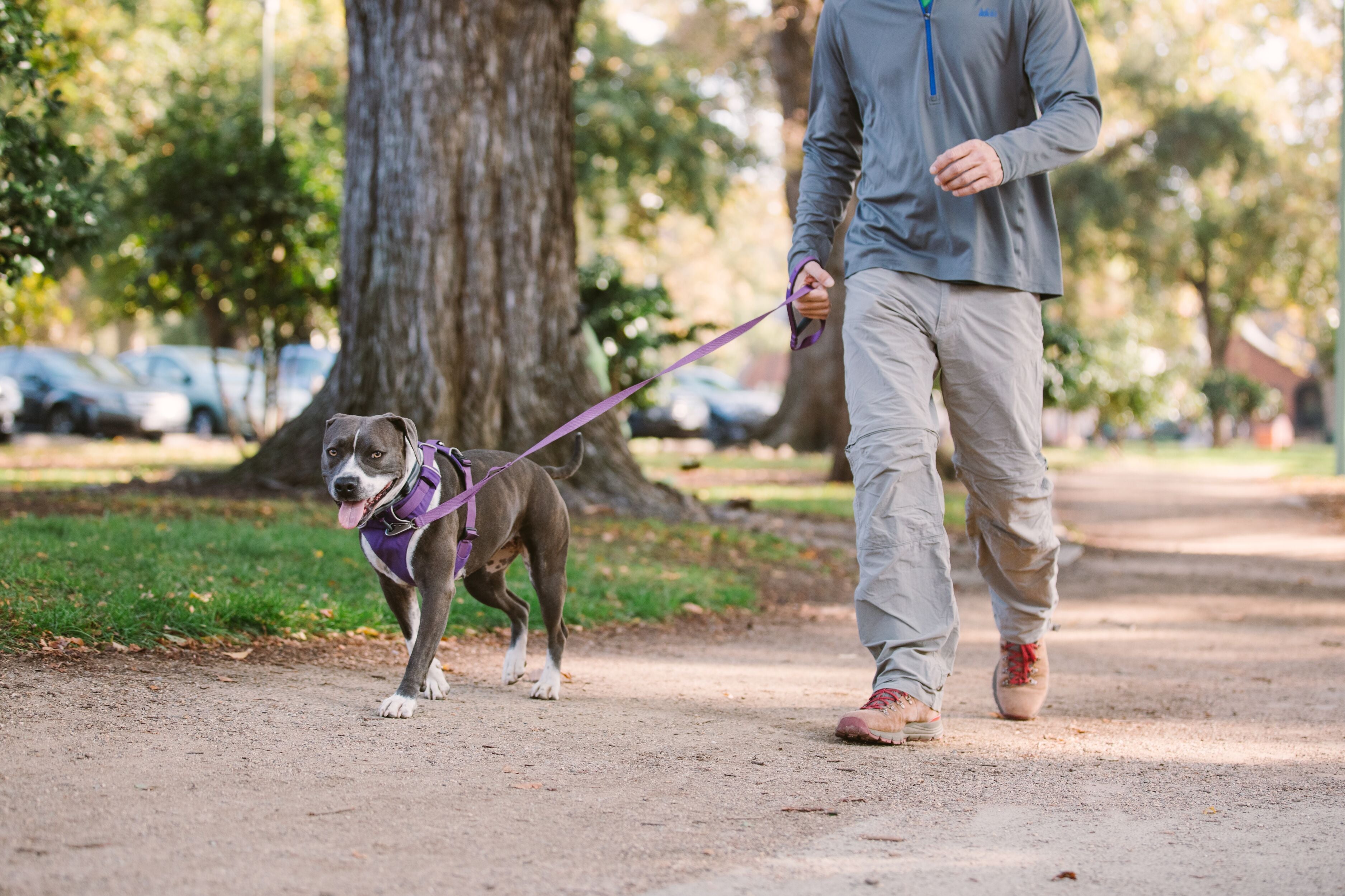 Check out Ruffwear's Front Range™ Dog Leash. 