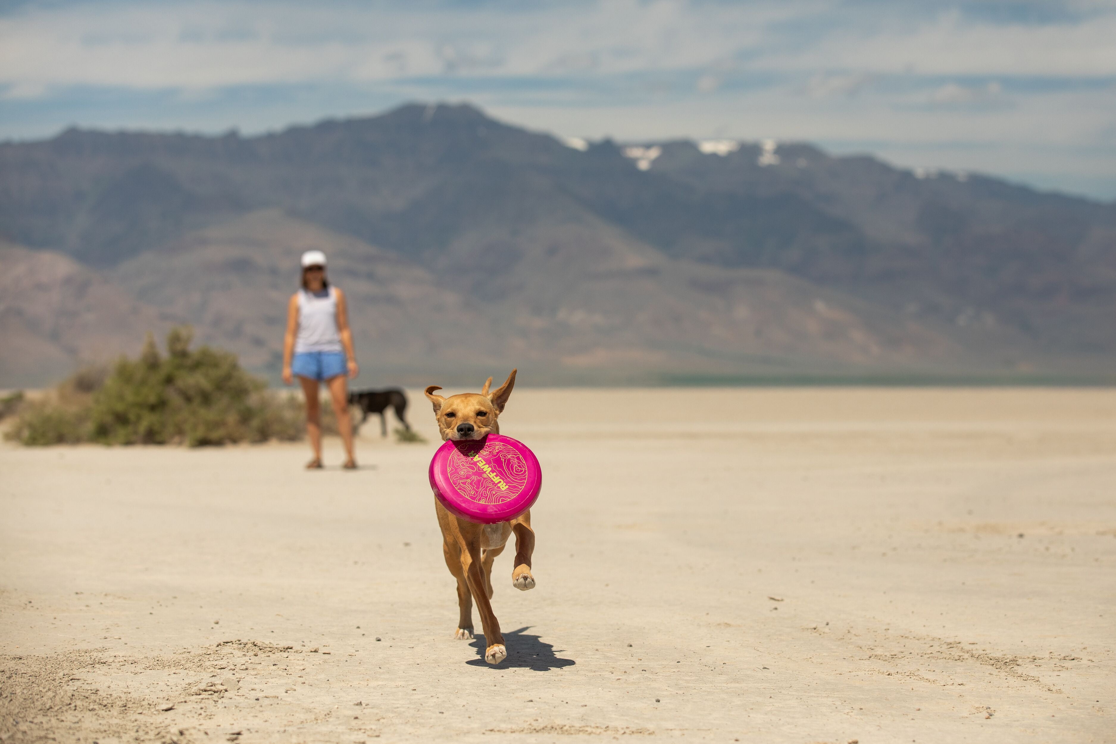 A woman throws a Ruffwear Camp Flyer toy for her dog. 