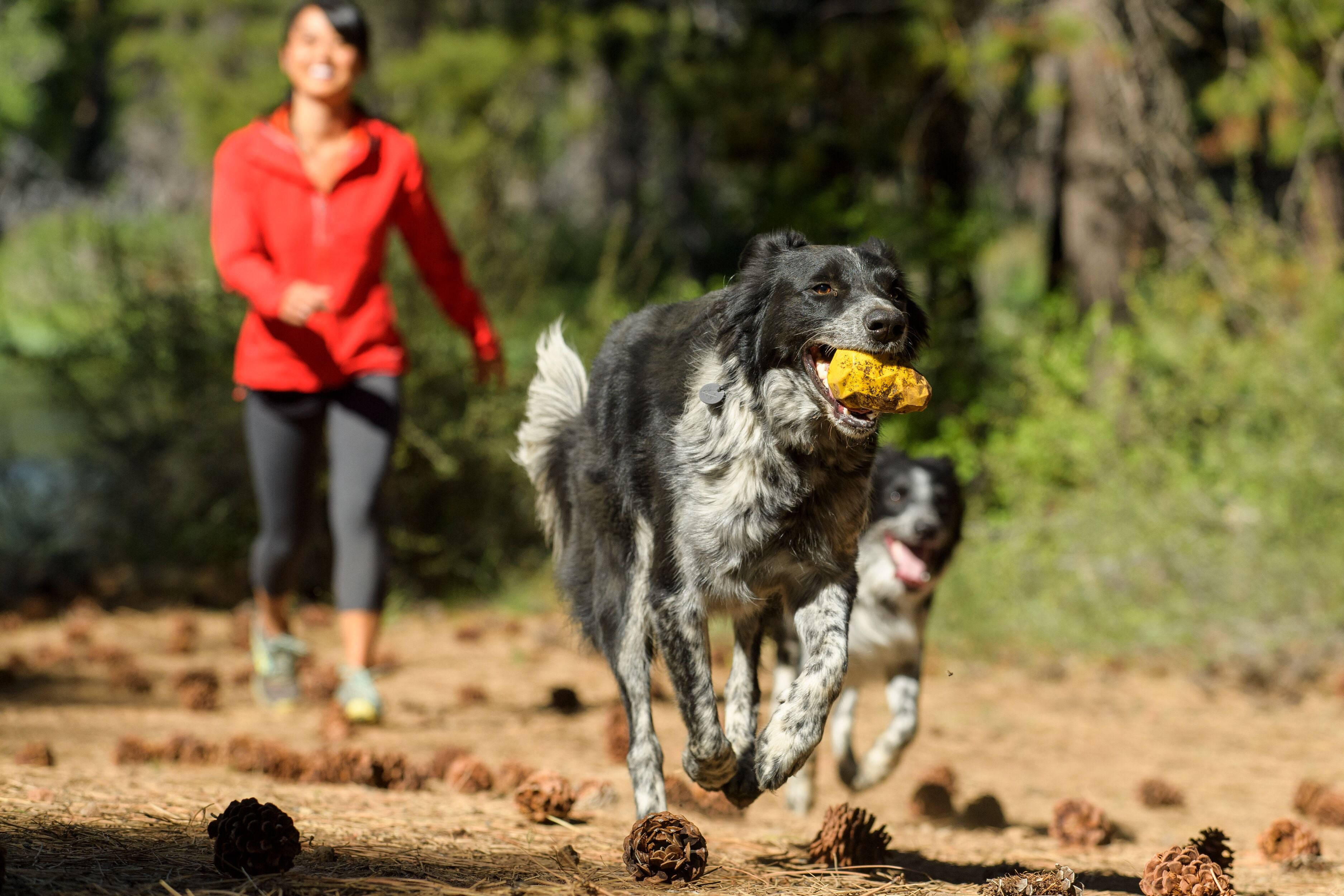 A woman walks on a trail behind her dog who is playing with a Ruffwear Gnawt-a-Cone dog toy. 