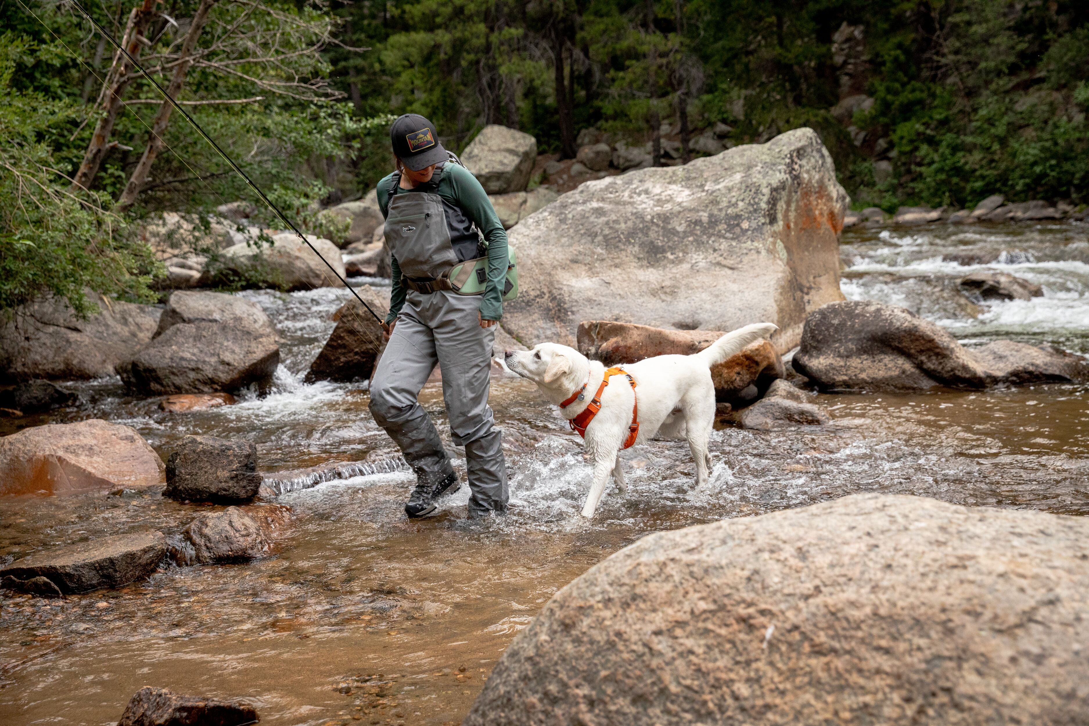 A woman walks through a creek with her dog while fly fishing. 