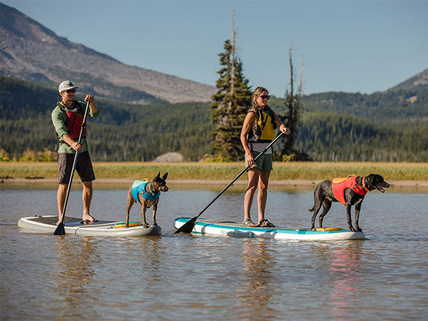 two humans on stand up paddleboards with their dogs in float coat dog life vests on the water.